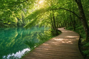 Forest Path jigsaw puzzle