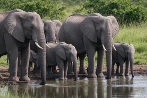 Elephant Family jigsaw puzzle